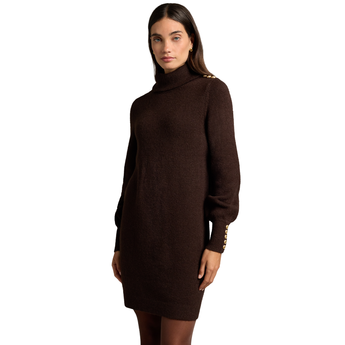 Womens Holland Cooper Chocolate Berkeley Roll Neck Dress