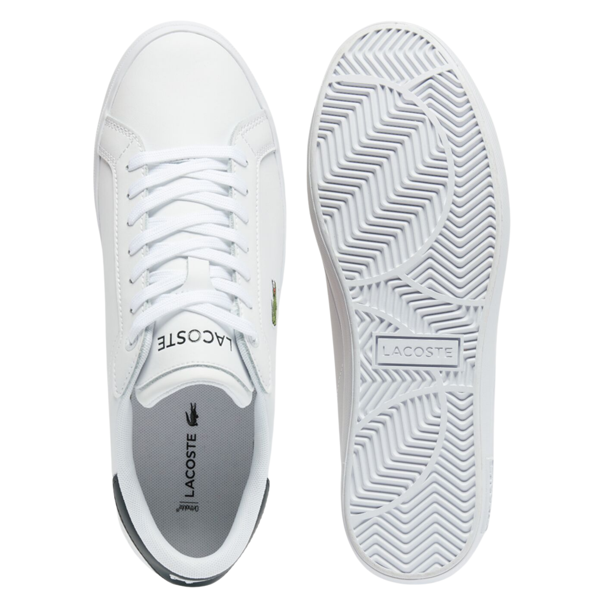 Mens Lacoste White/Dark Green Powercourt Trainers