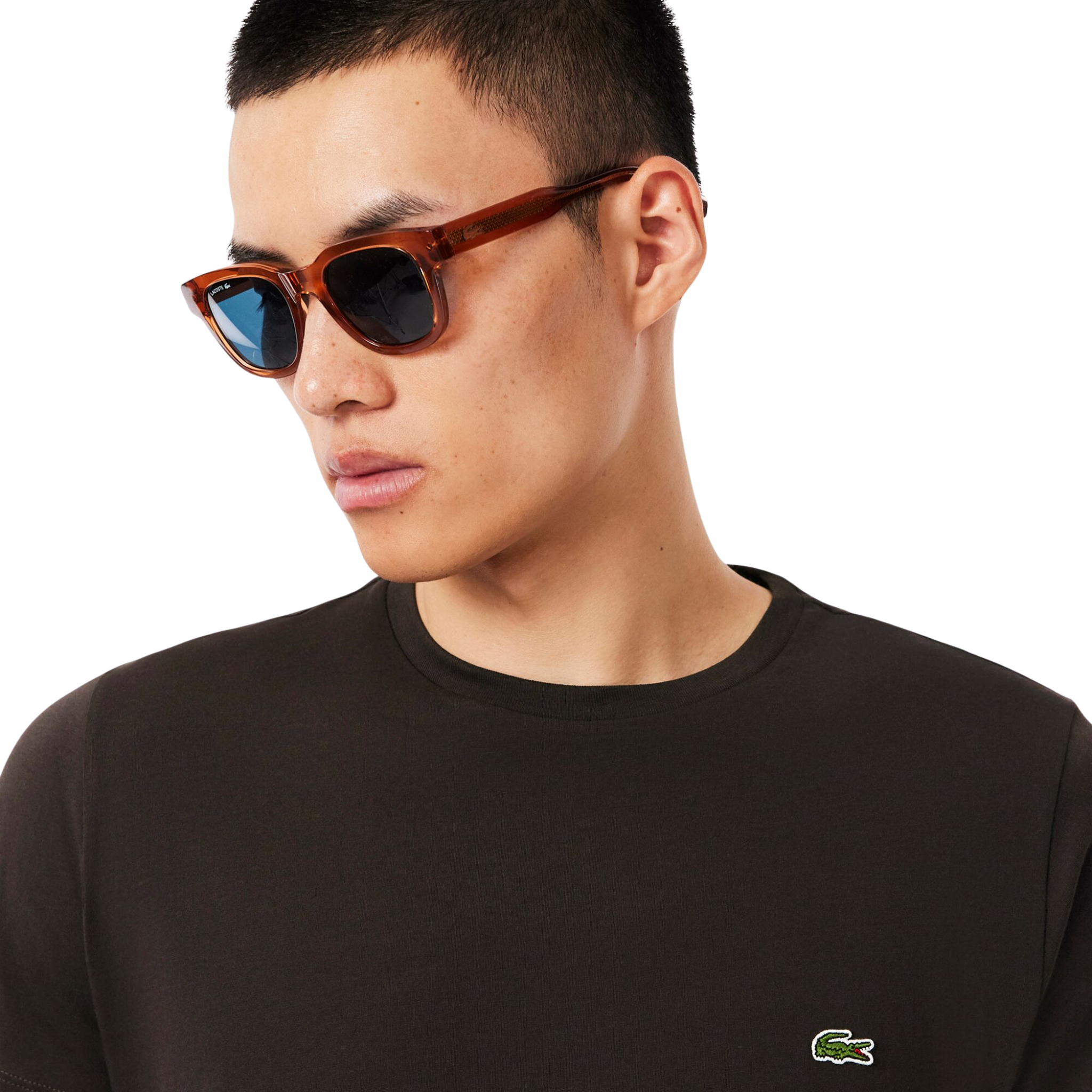 Mens Lacoste Brown Cotton Pima Regular Fit S/s T Shirt