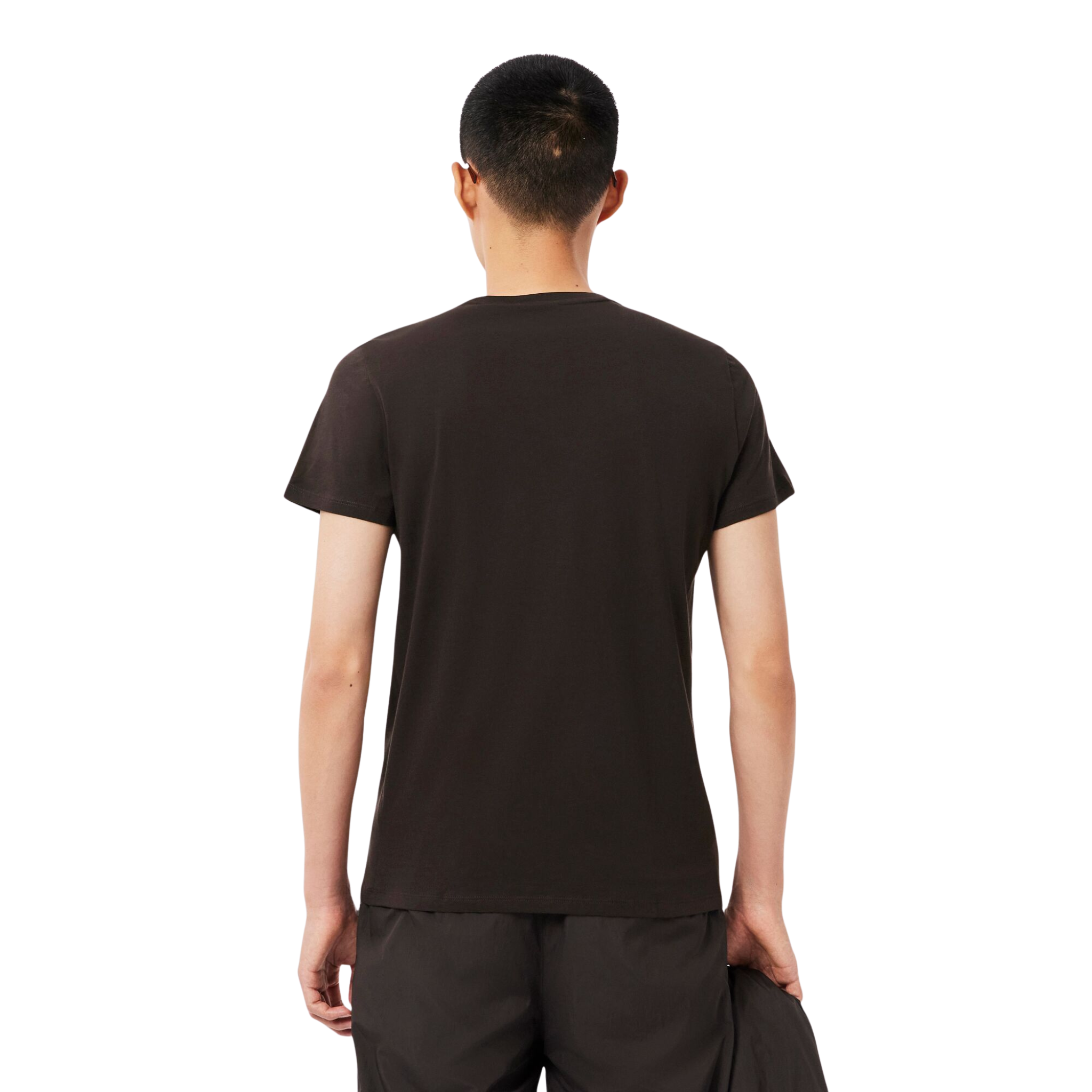 Mens Lacoste Brown Cotton Pima Regular Fit S/s T Shirt