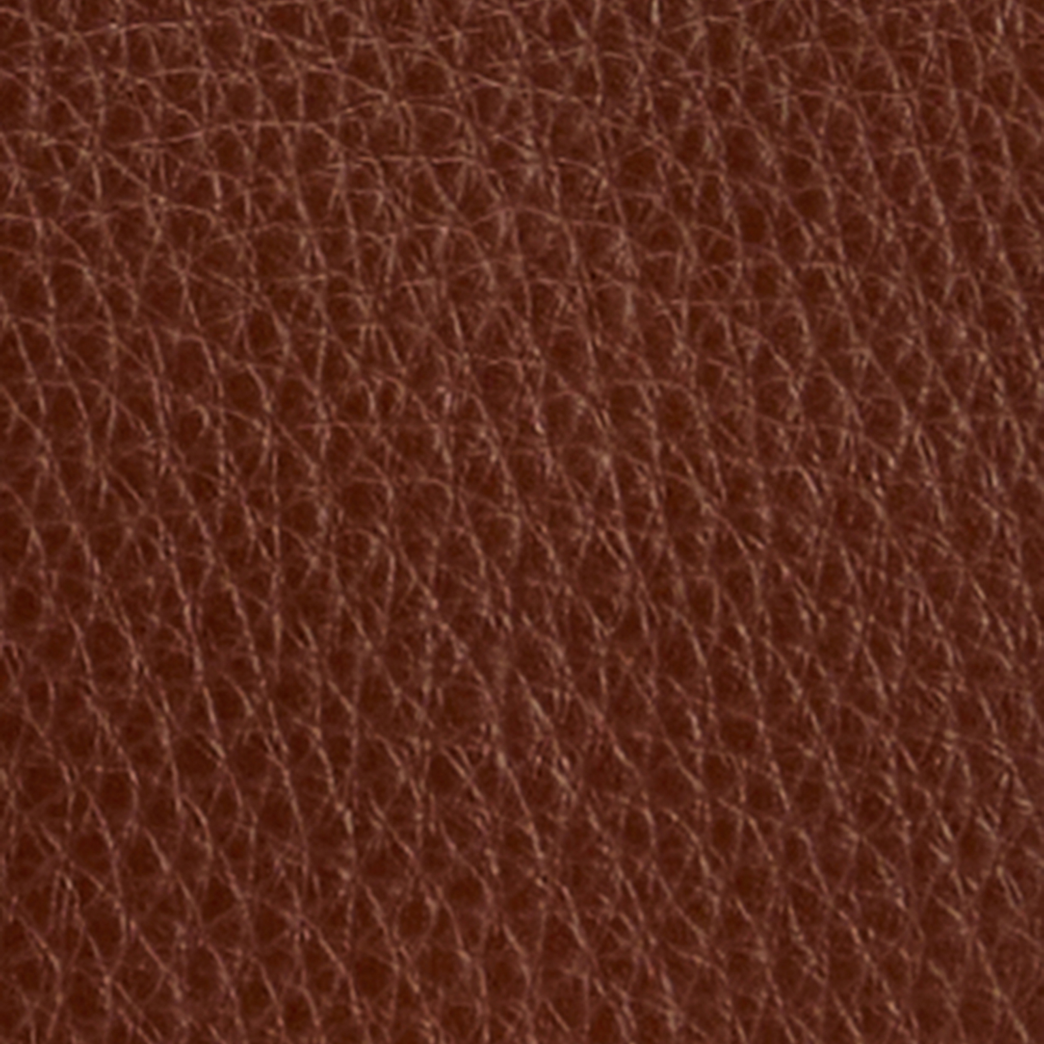 Womens Barbour Brown Rosa Leather Crossbody Bag