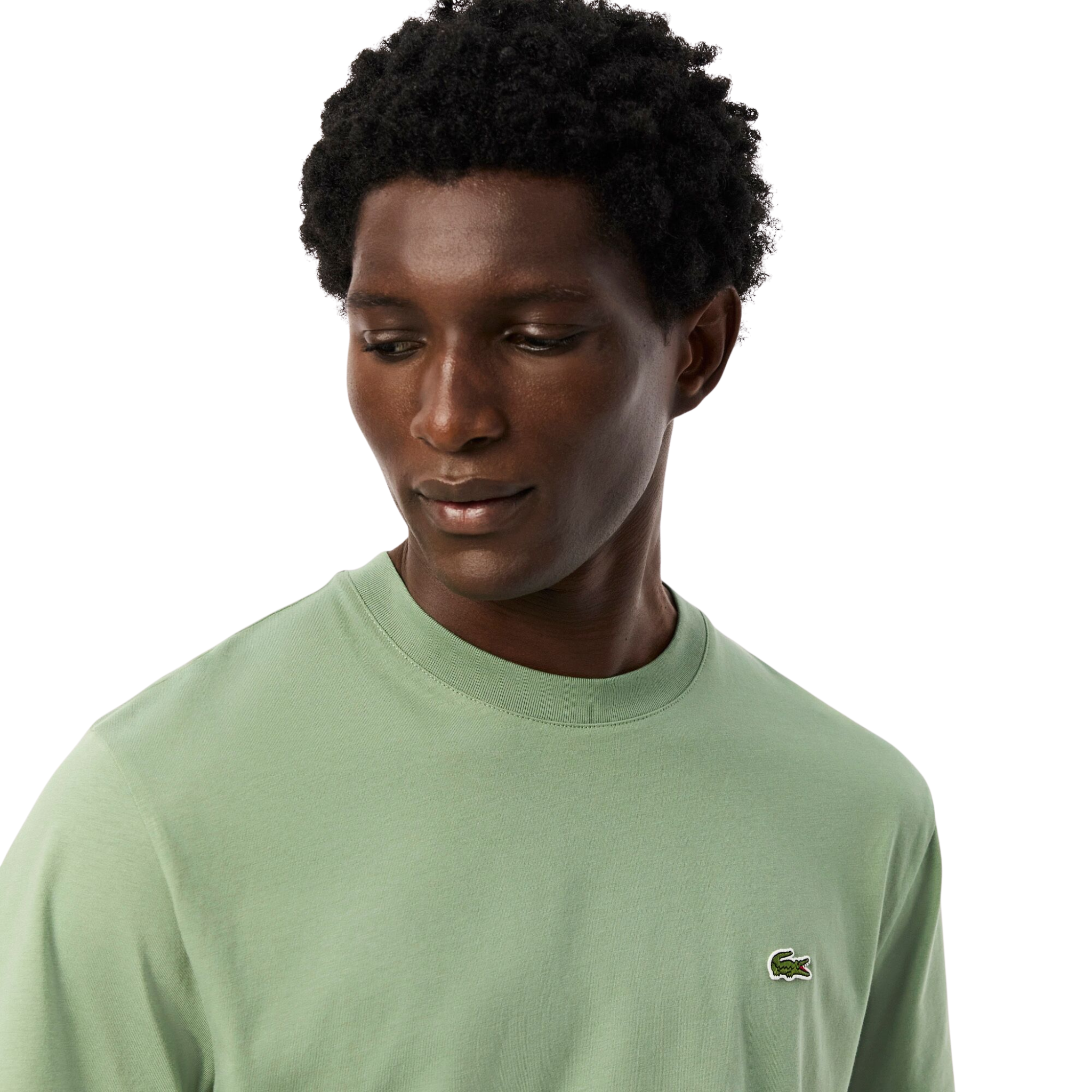 Mens Lacoste Thyme Classic Fit Mid Weight S/s T Shirt