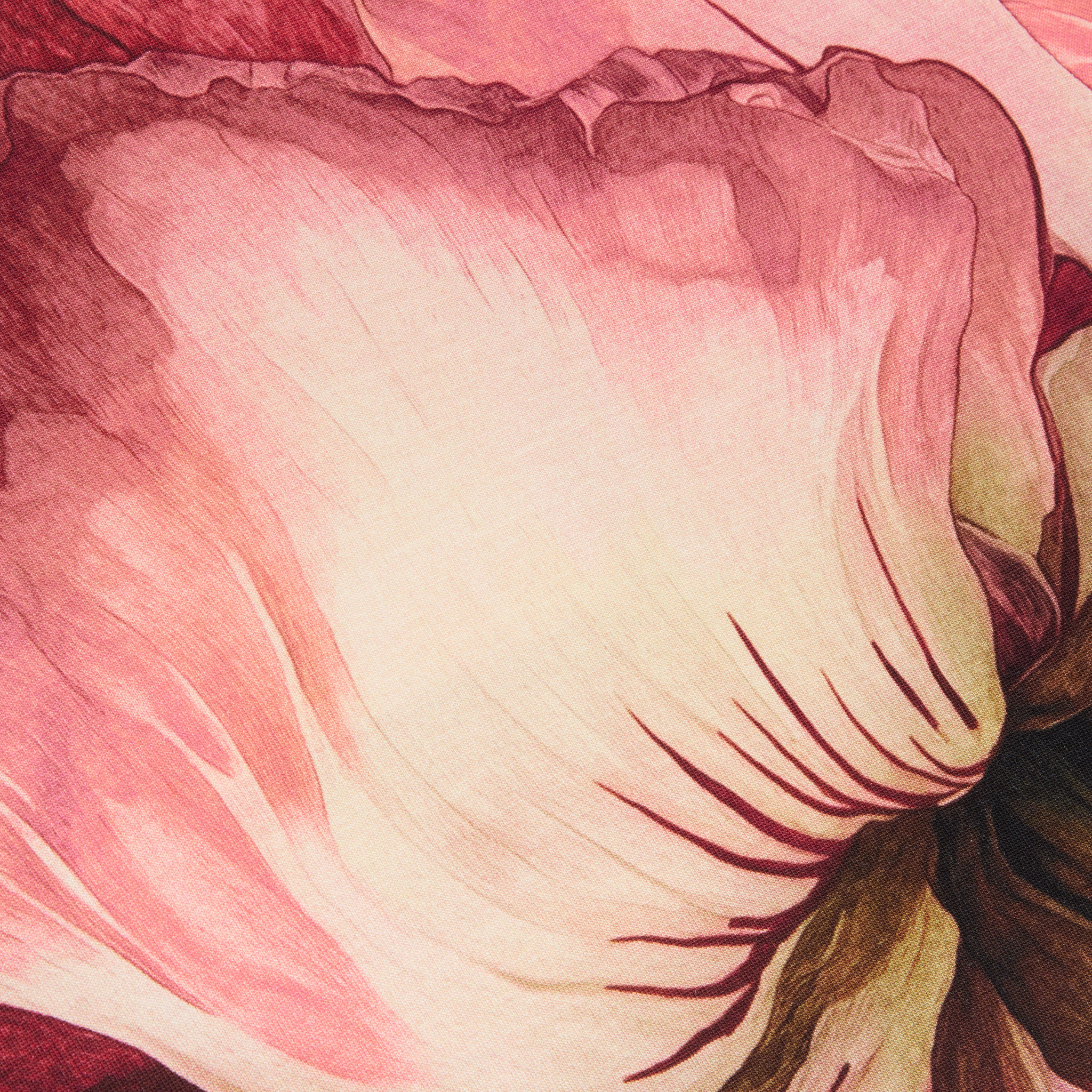 Womens Ted Baker Ivory Obrey Printed Fitted S/s T Shirt