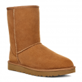 Womens Chestnut Classic Short II UGG Boots 98428 by UGG from Hurleys