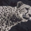 Womens Black Cheetah Photo Print S/s T Shirt 43286 by PS Paul Smith from Hurleys