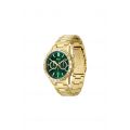 Mens Gold/Green Allure Bracelet Strap Watch